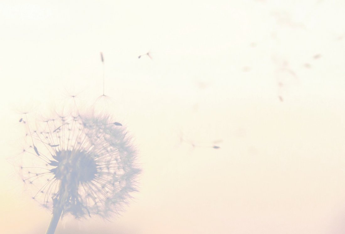 Kaarten en advertenties